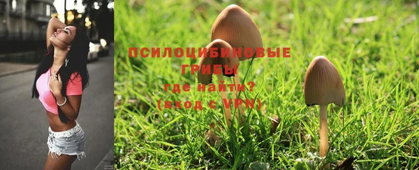 MESCALINE Ладушкин