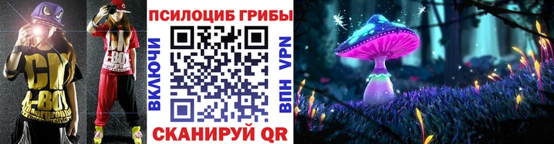 дарнет шоп  Гай  Галлюциногенные грибы Cubensis 